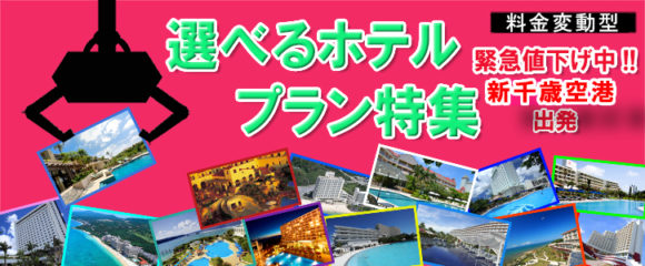 北海道発→沖縄旅行 沖縄本島 選べるホテルセレクト周遊プラン